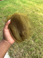 African Net Sponge “45